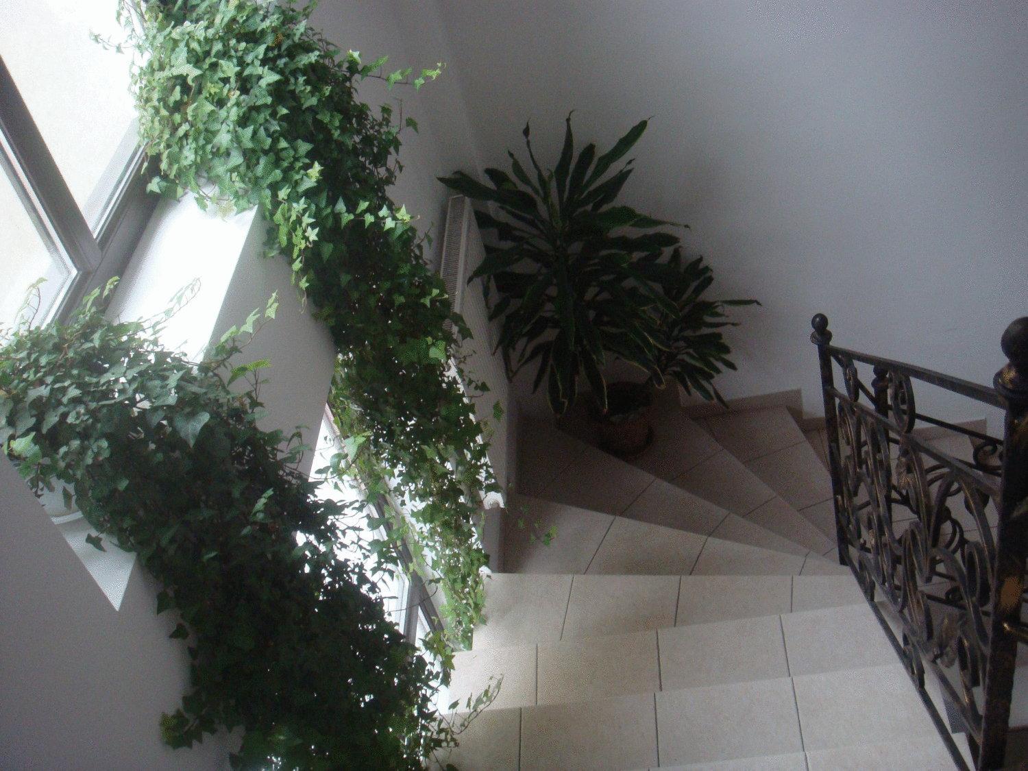 Villa Edera Residence - Gazda Profesionista บูคาเรสต์ ภายนอก รูปภาพ